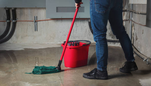 Best Water damage restoration near me  in Melrose, MA