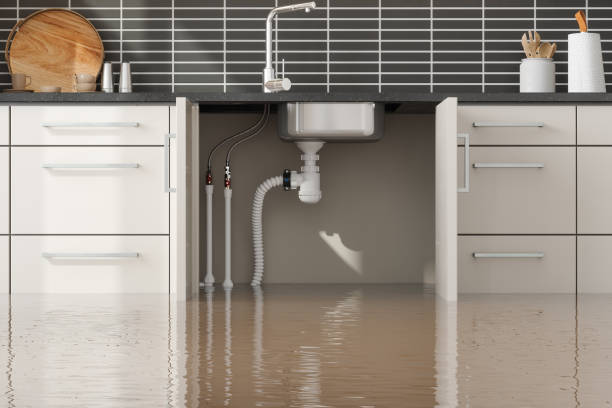 Best Water damage restoration near me  in Melrose, MA